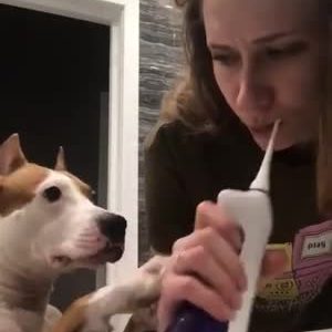 Partager sa brosse à dents avec son chien!